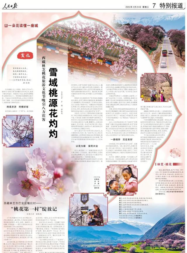 嘎拉村桃花