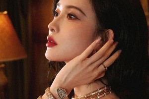 孟子义名誉维权案进展：赔偿款捐赠流浪动物
