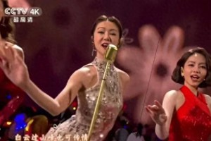 2025央视春晚：薛凯琪《万水千山总是情》惊艳全场