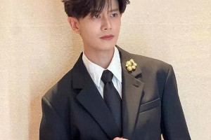 任嘉伦杨紫刘亦菲红毯盛况与《无忧渡》大结局