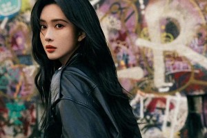 精选图片集锦：视觉盛宴一览