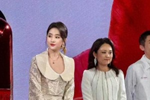 刘亦菲38岁生图惊艳，新中式礼服展现东方美