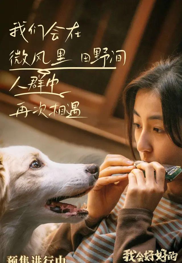 张子枫写真